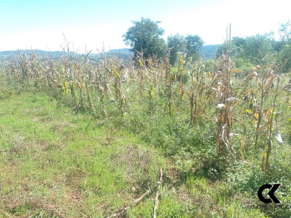 Sítio, 2 quartos, 4 hectares - Foto 27