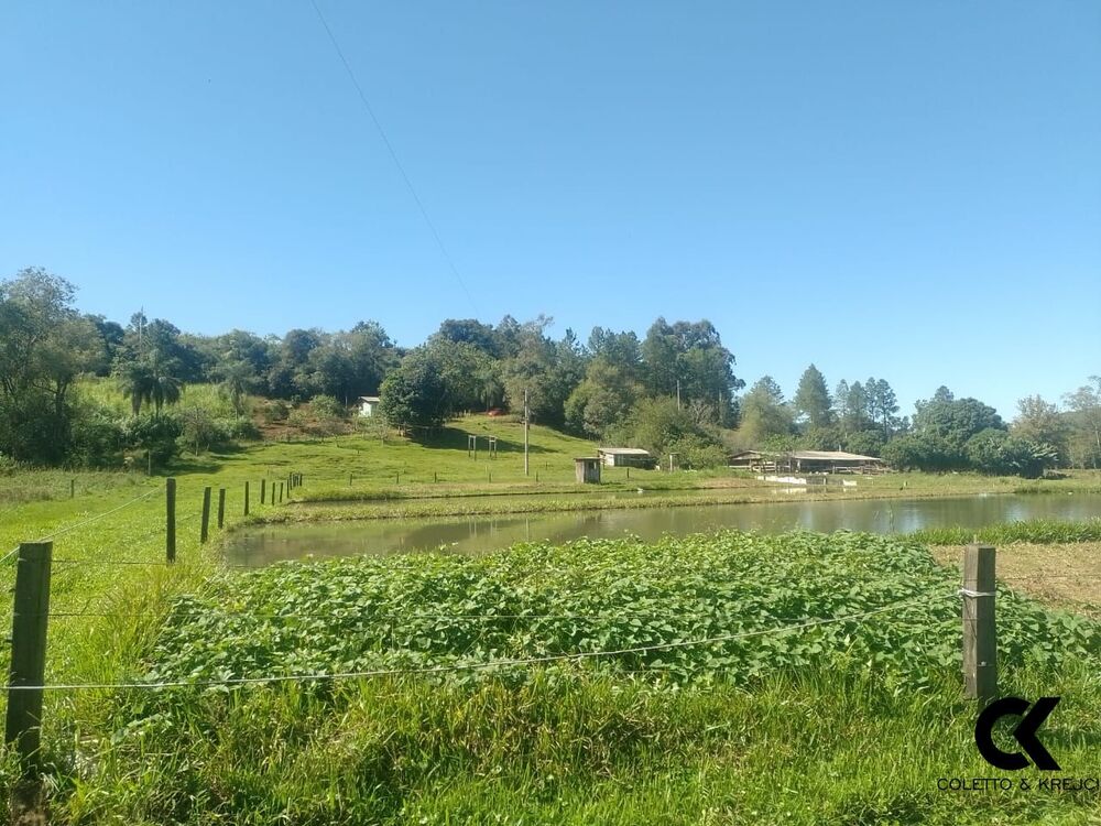 Sítio, 2 quartos, 4 hectares - Foto 26