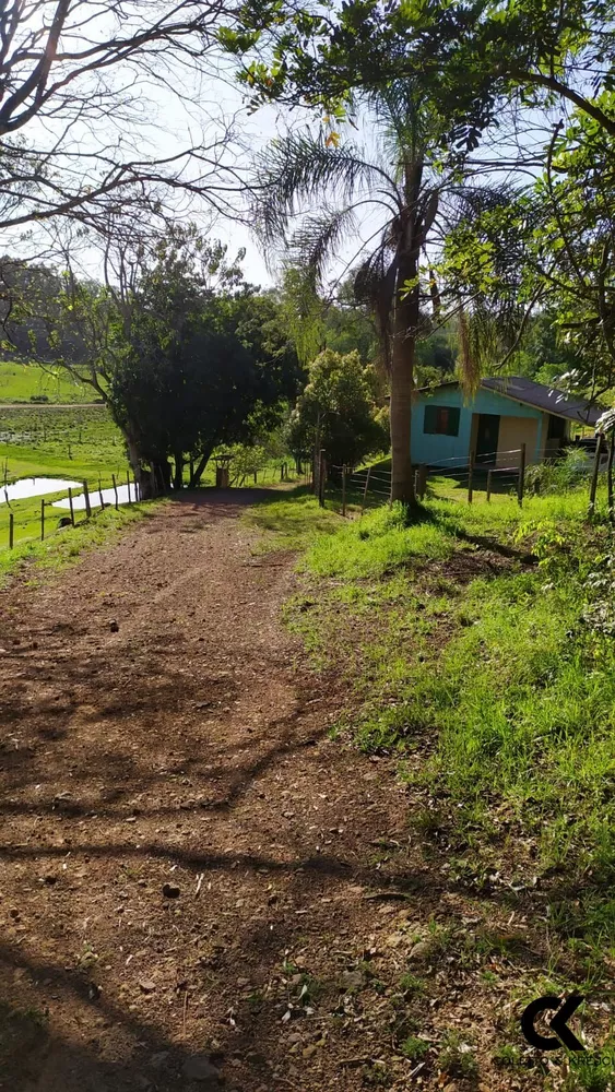 Sítio, 2 quartos, 4 hectares - Foto 13