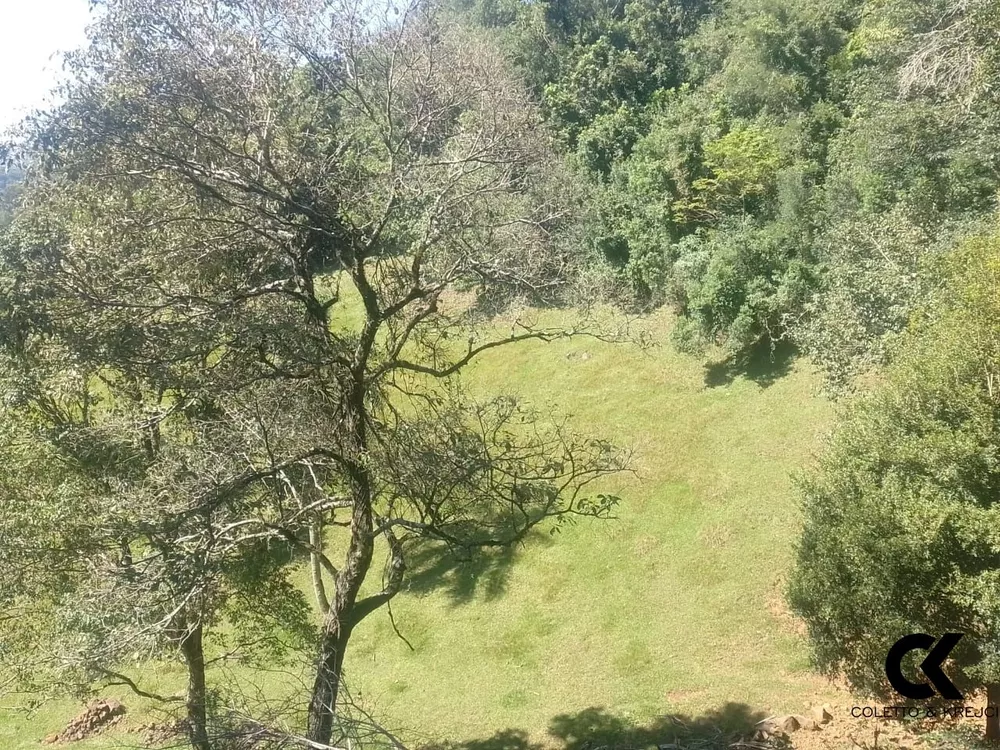 Sítio, 2 quartos, 4 hectares - Foto 20