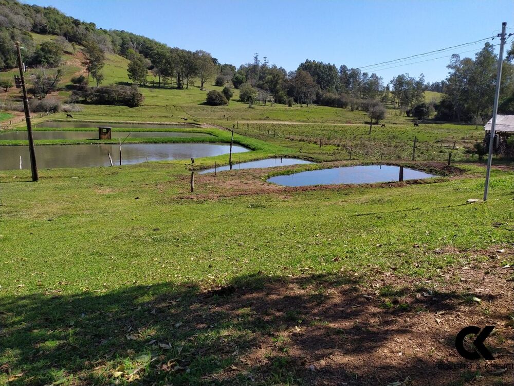 Sítio, 2 quartos, 4 hectares - Foto 12