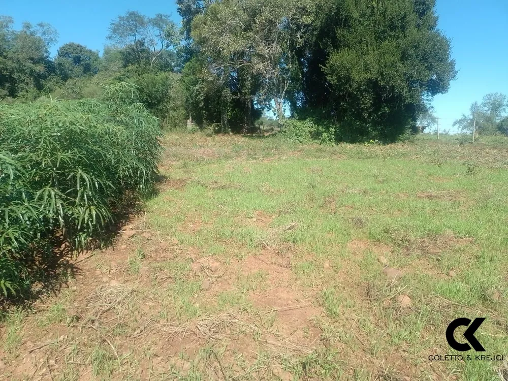 Sítio, 2 quartos, 4 hectares - Foto 6
