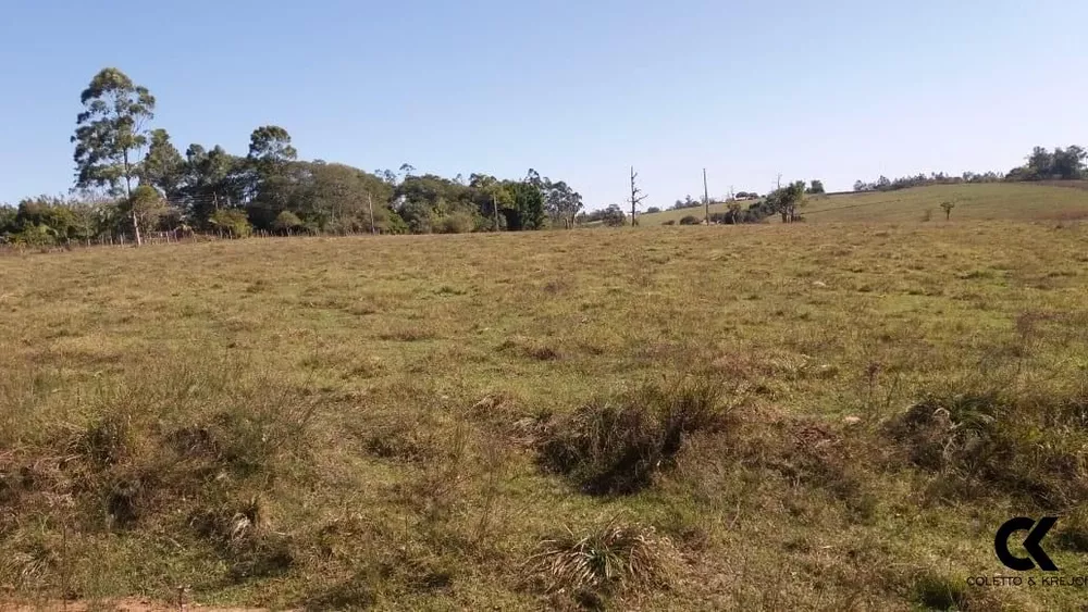 Fazenda, 30 hectares - Foto 1