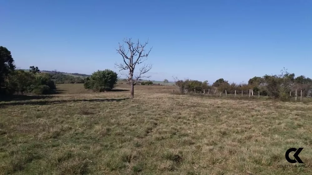 Fazenda, 30 hectares - Foto 2