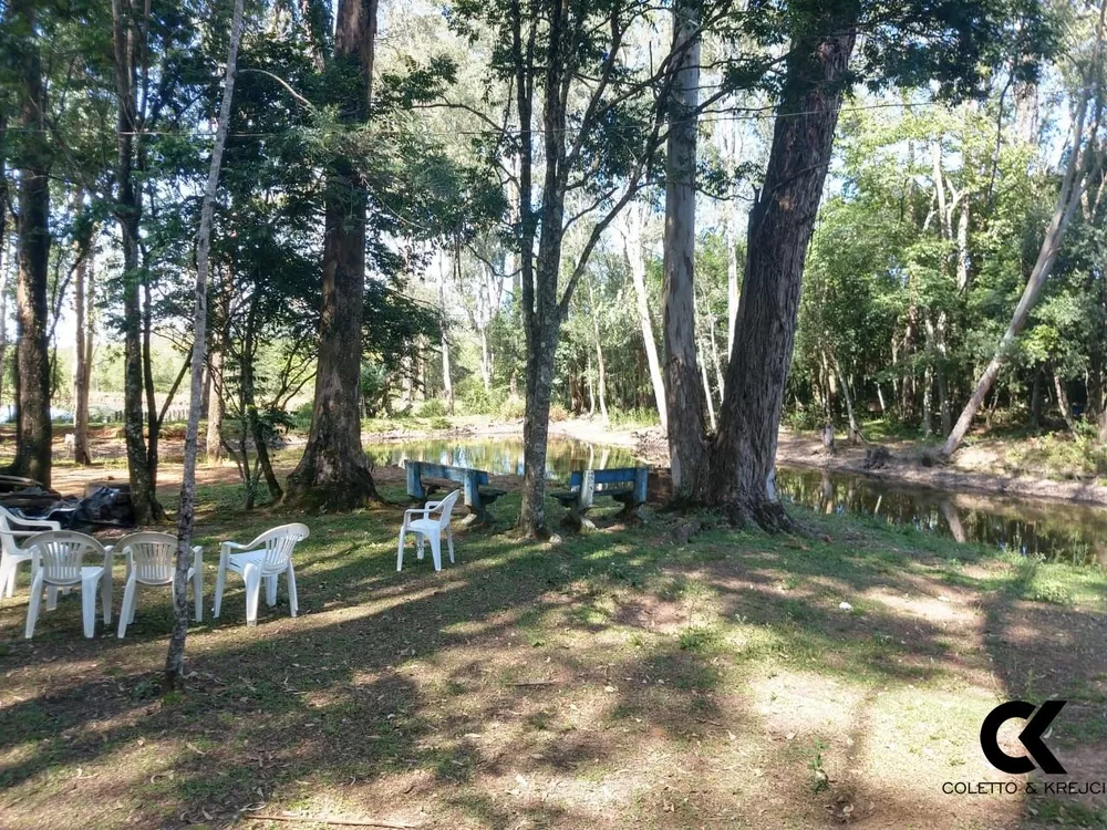 Chácara, 4 quartos, 3 hectares - Foto 5