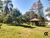 Chácara, 4 quartos, 3 hectares - Foto 4