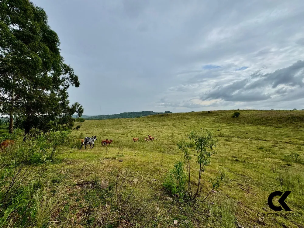 Fazenda, 40 hectares - Foto 7