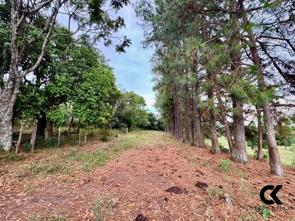 Fazenda, 40 hectares - Foto 1