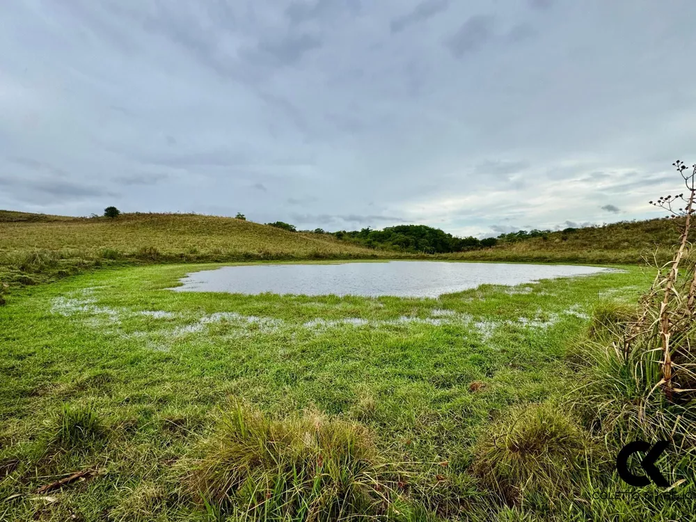 Fazenda, 40 hectares - Foto 6