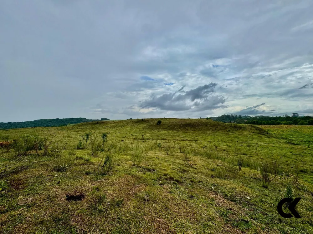 Fazenda, 40 hectares - Foto 4