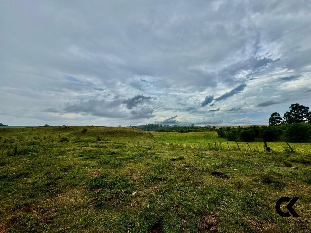 Fazenda, 40 hectares - Foto 3