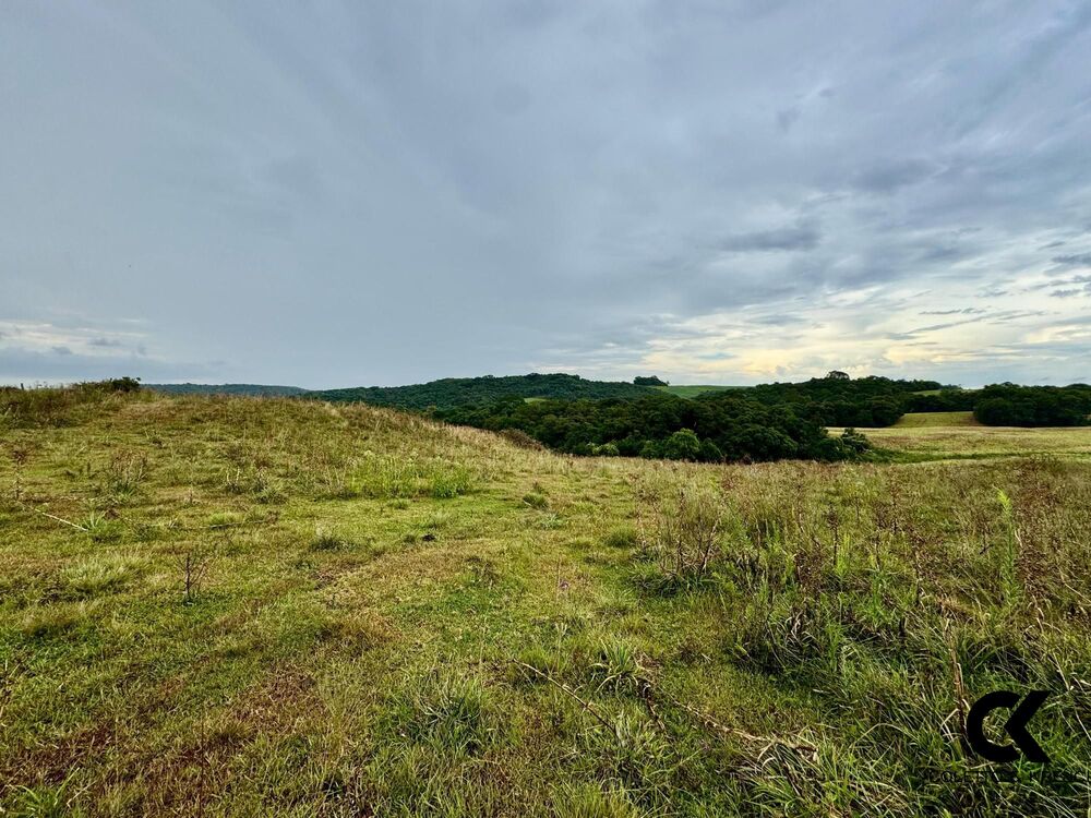 Fazenda, 40 hectares - Foto 8
