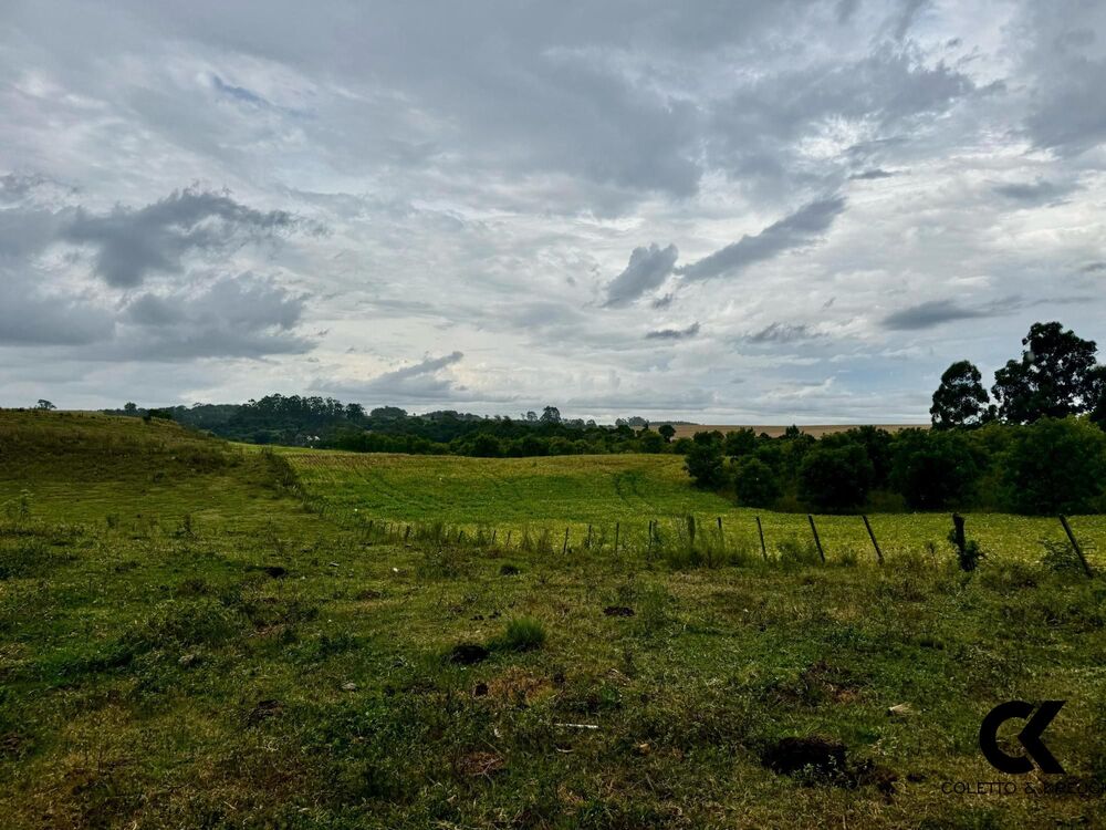 Fazenda, 40 hectares - Foto 2