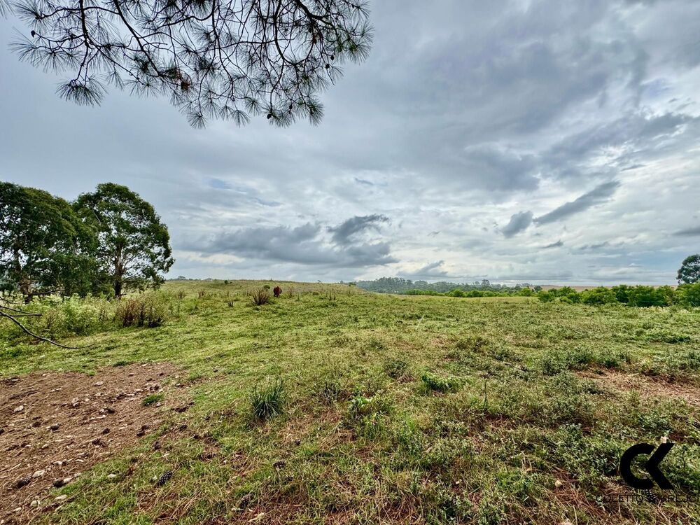 Fazenda, 40 hectares - Foto 1