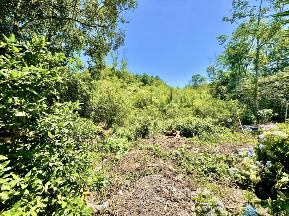 Terreno, 1 m² - Foto 2