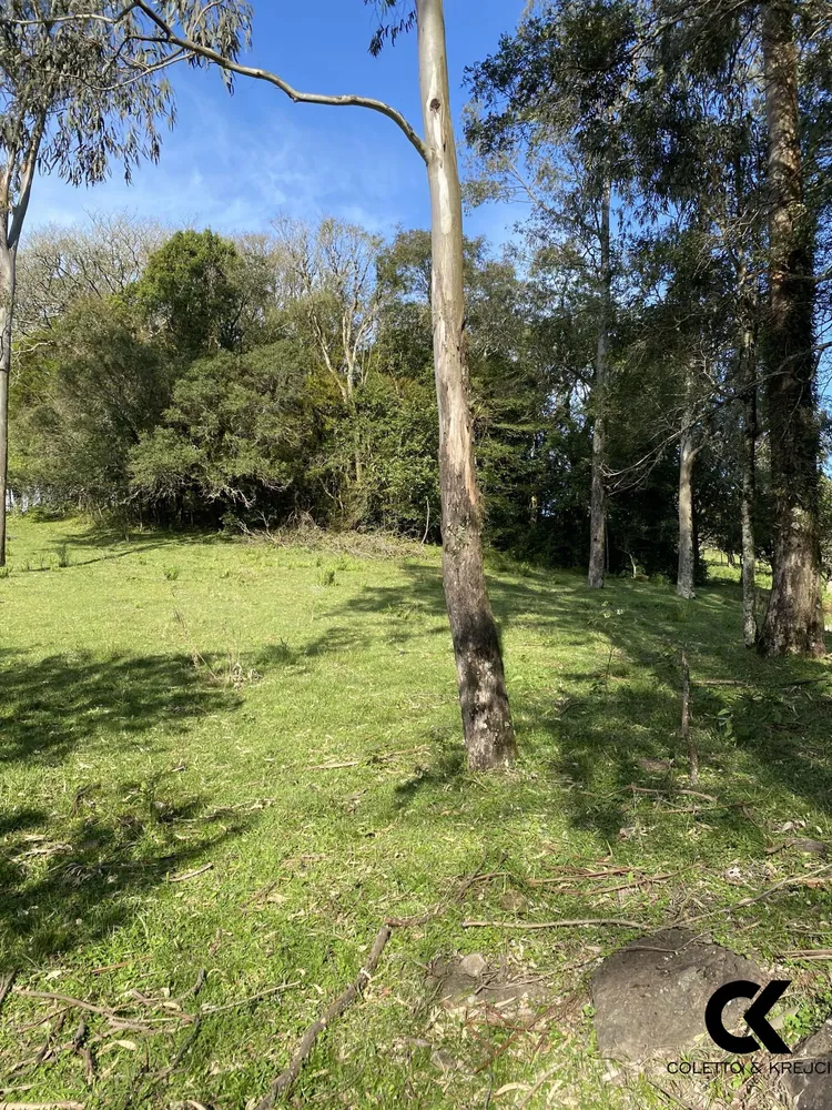 Sítio, 4 hectares - Foto 15