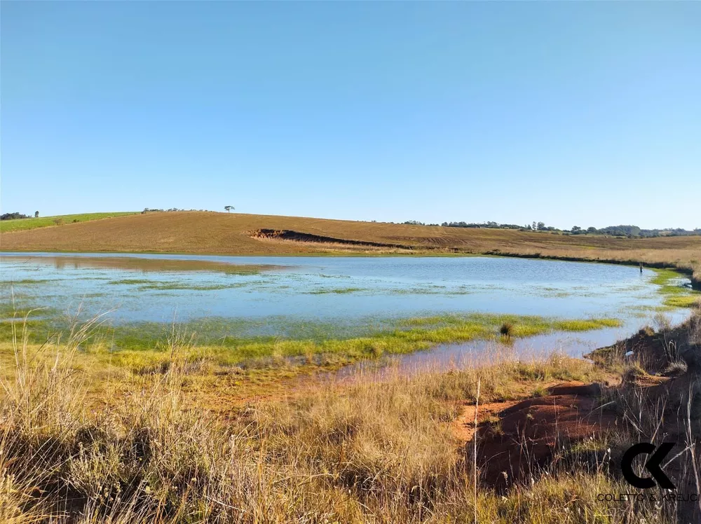 Fazenda, 52 hectares - Foto 2
