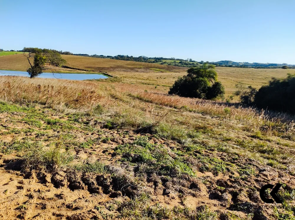 Fazenda, 52 hectares - Foto 7