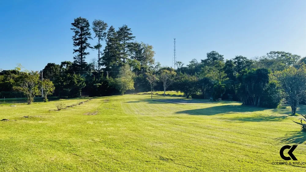 Sítio, 3 quartos, 4 hectares - Foto 10