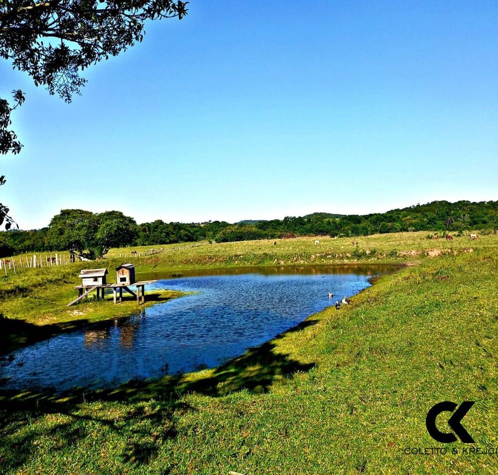 Fazenda, 68 hectares - Foto 3