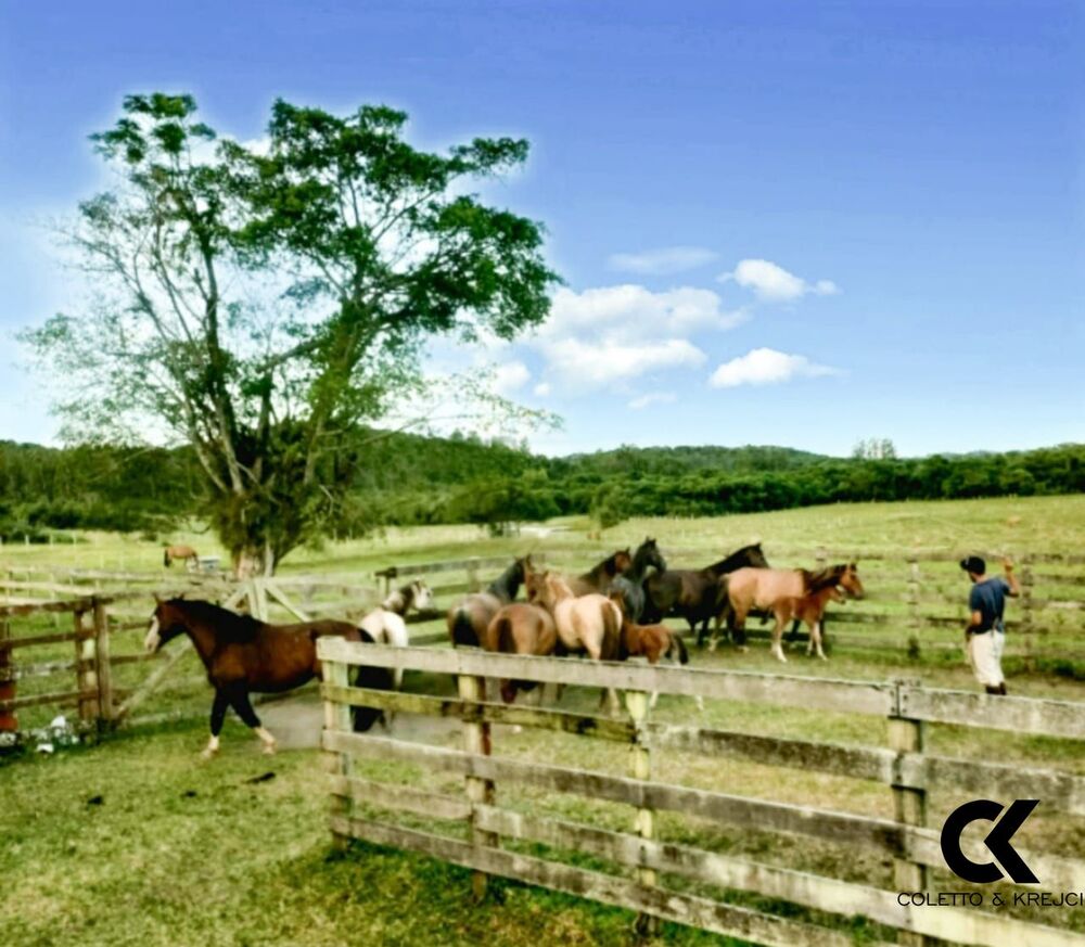 Fazenda, 68 hectares - Foto 1