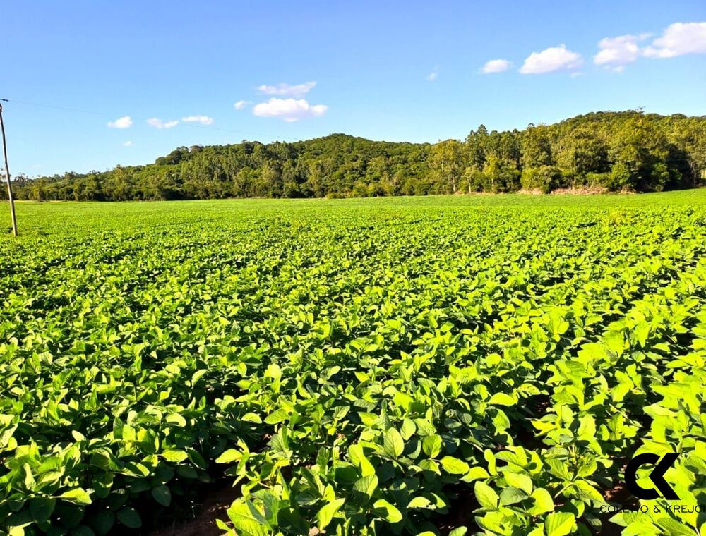 Fazenda, 68 hectares - Foto 2