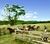 Fazenda-Sítio-Chácara, 68 hectares - Foto 1