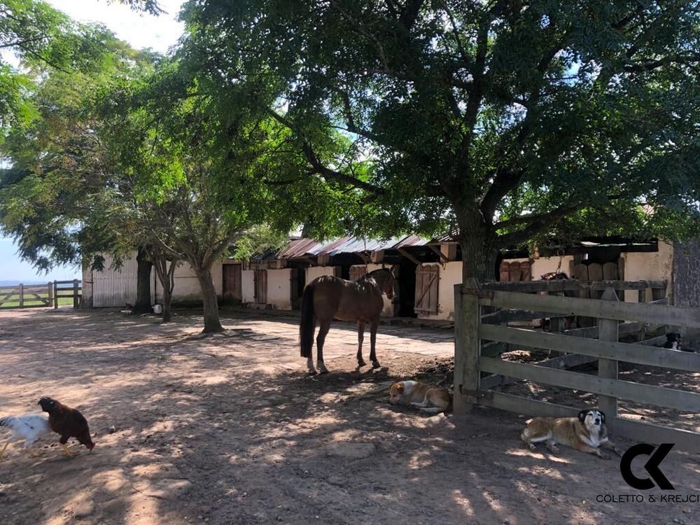Fazenda, 3275 hectares - Foto 6