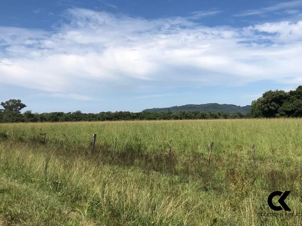 Fazenda, 3275 hectares - Foto 3