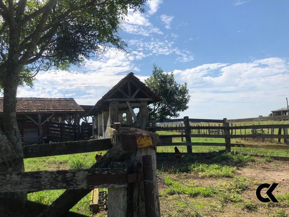 Fazenda, 3275 hectares - Foto 7