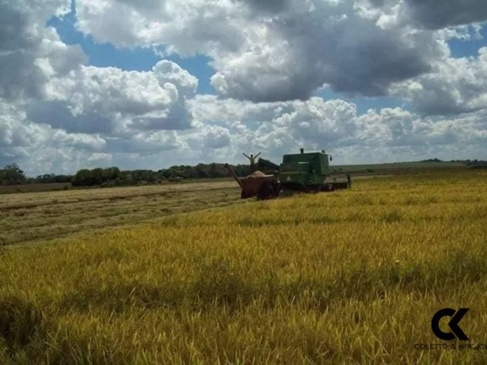 Fazenda, 145 hectares - Foto 2