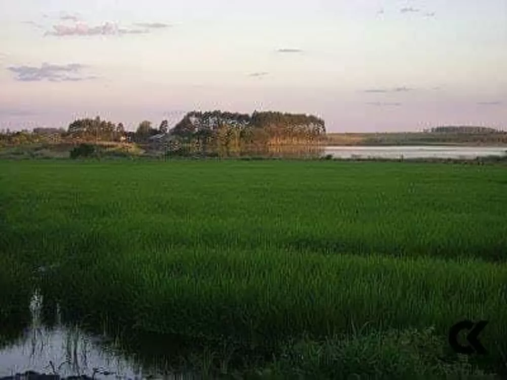 Fazenda, 145 hectares - Foto 3