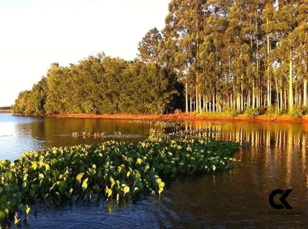 Fazenda, 145 hectares - Foto 5