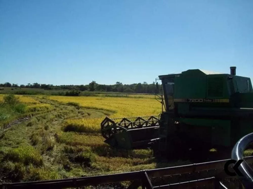 Fazenda, 145 hectares - Foto 4