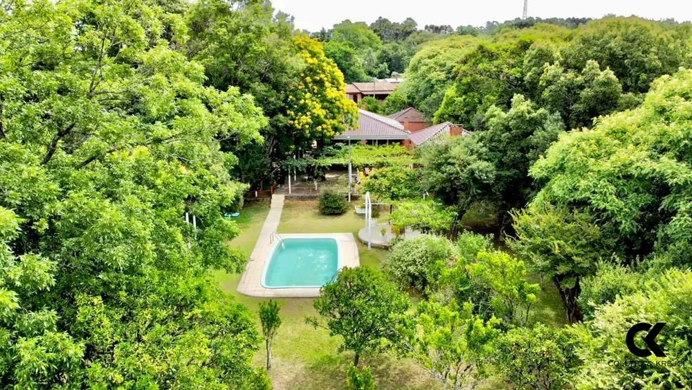 Chácara, 3 quartos, 6000 m² - Foto 6