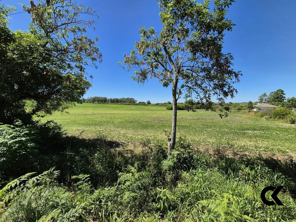 Terreno, 2 hectares - Foto 2