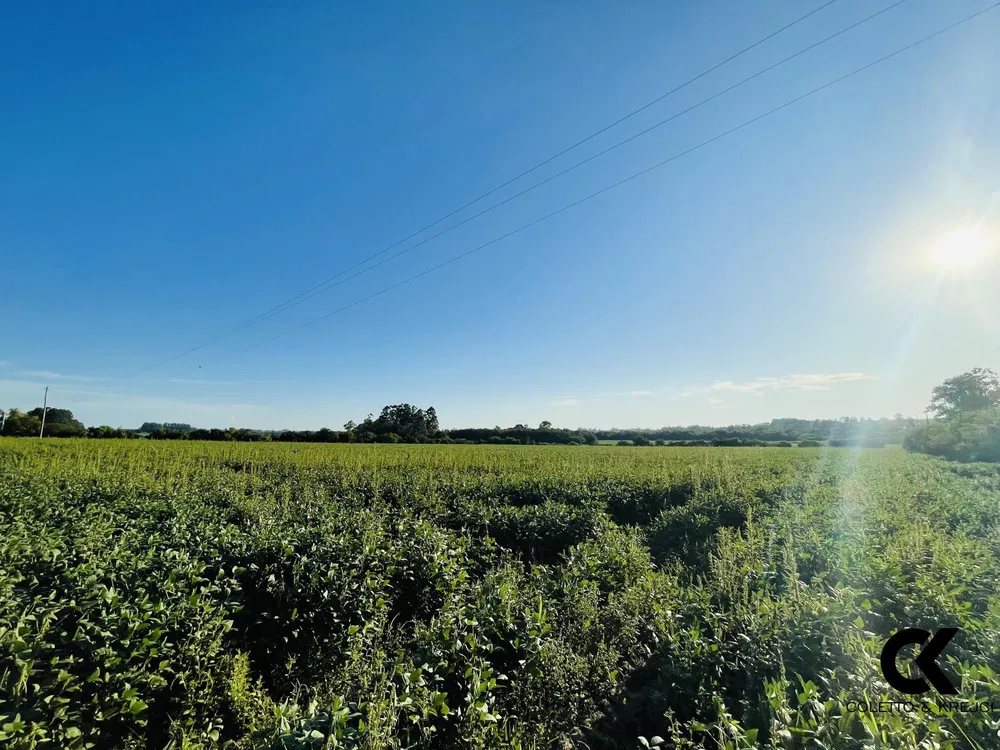 Chácara, 4 hectares - Foto 1