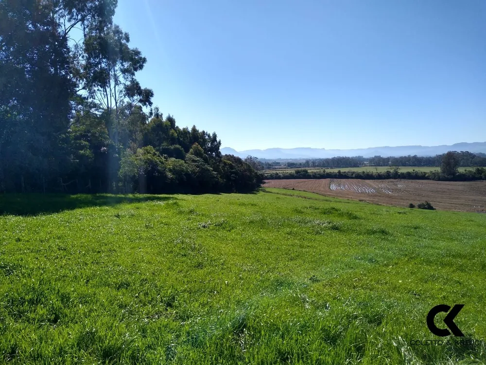 Chácara, 3 quartos, 1 hectares - Foto 6