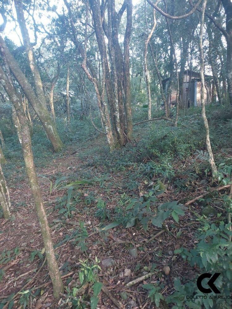 Terreno, 880 m² - Foto 3