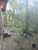 Terreno, 880 m² - Foto 5