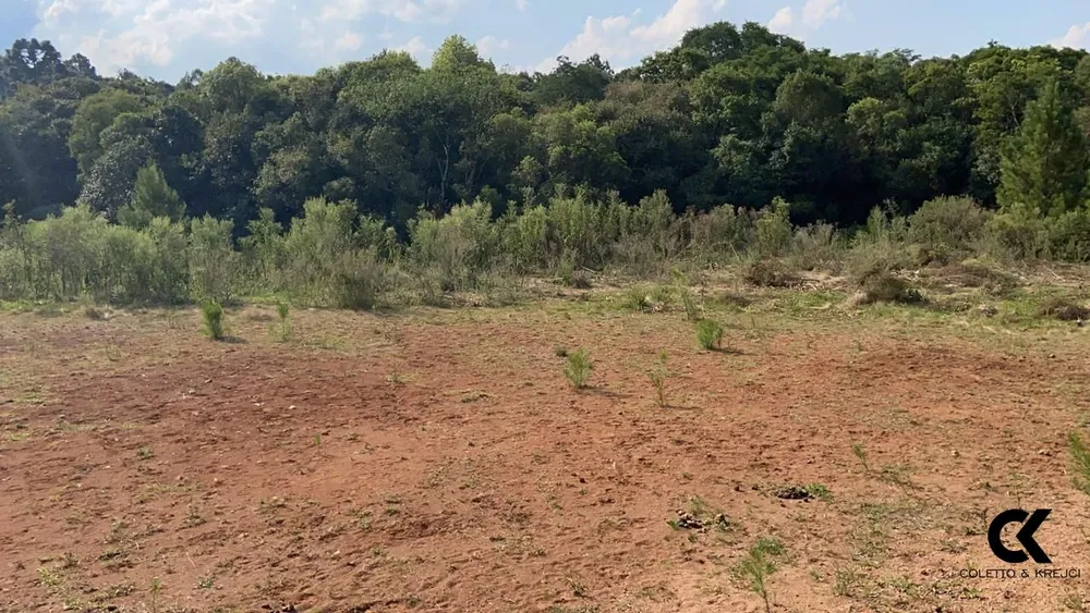 Terreno, 1000 m² - Foto 6
