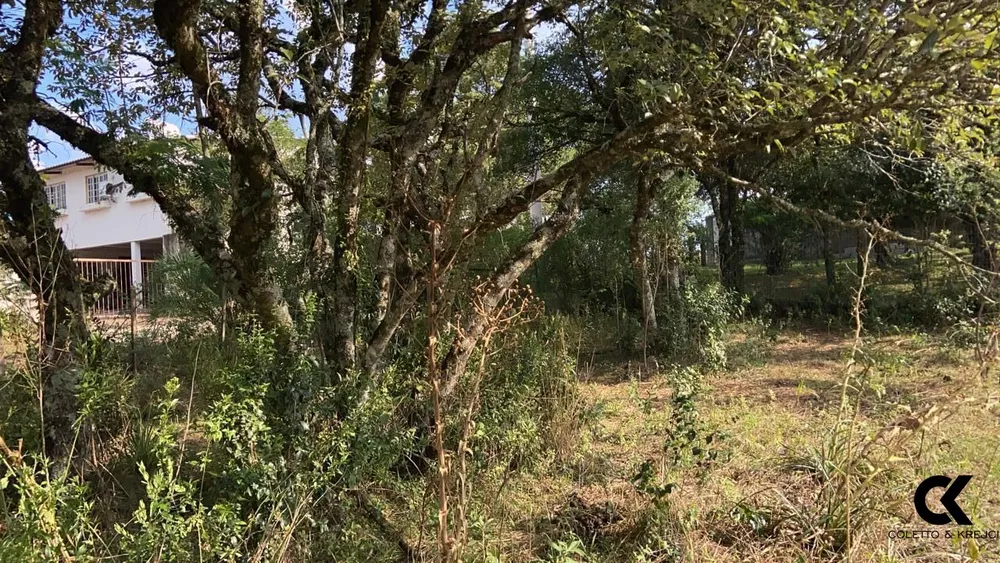 Terreno, 1000 m² - Foto 1