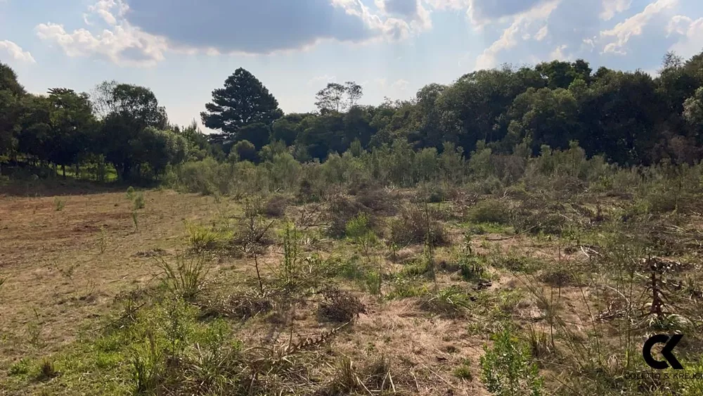 Terreno, 1000 m² - Foto 3