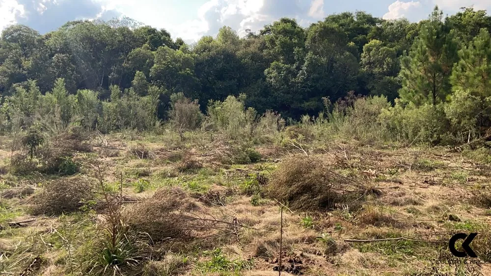 Terreno, 1000 m² - Foto 2