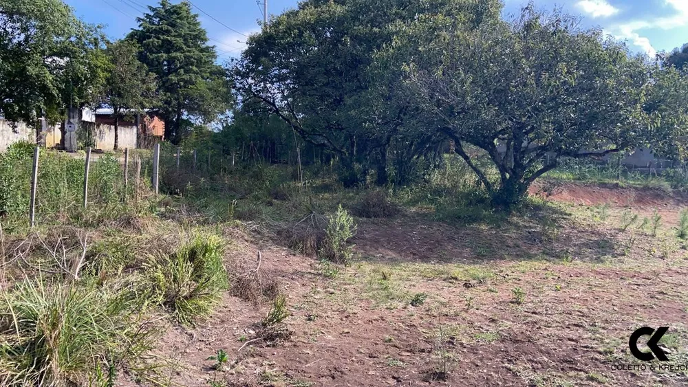 Terreno, 1000 m² - Foto 4