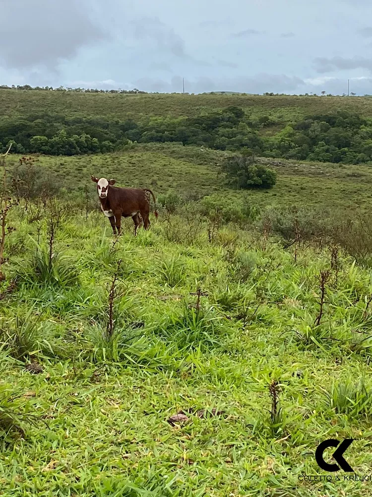 Fazenda à venda com 3 quartos, 5000000m² - Foto 16