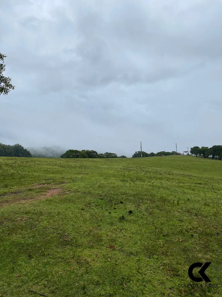 Fazenda à venda com 3 quartos, 5000000m² - Foto 2