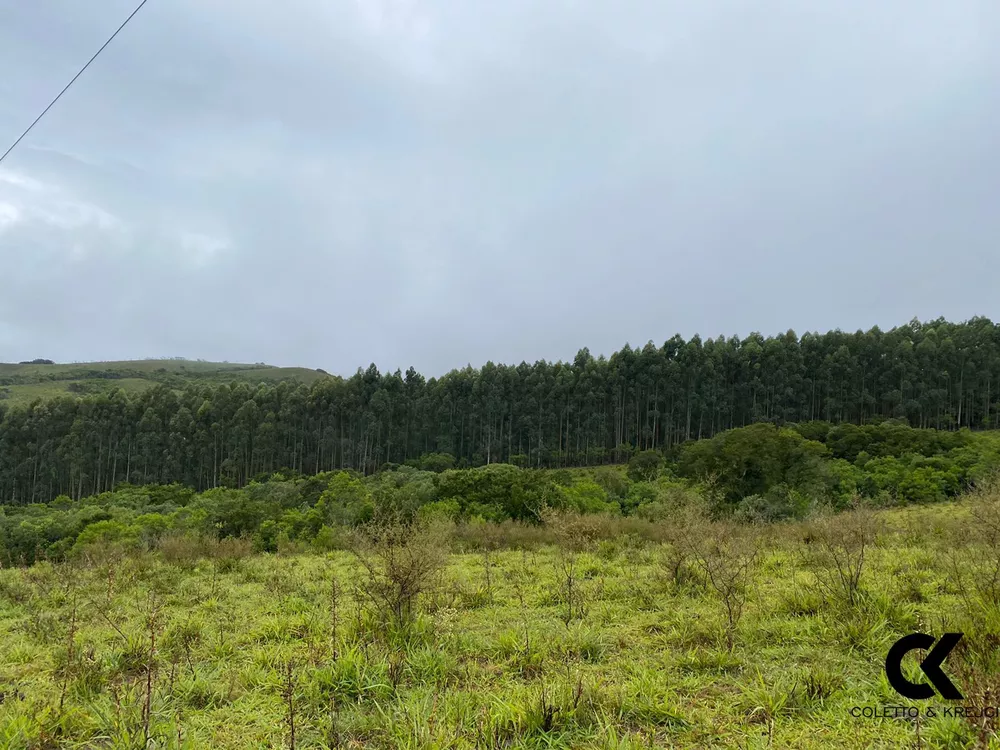 Fazenda à venda com 3 quartos, 5000000m² - Foto 14