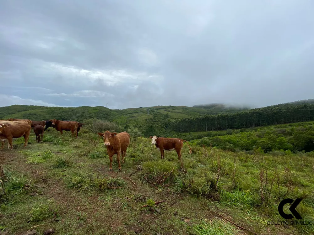 Fazenda à venda com 3 quartos, 5000000m² - Foto 17