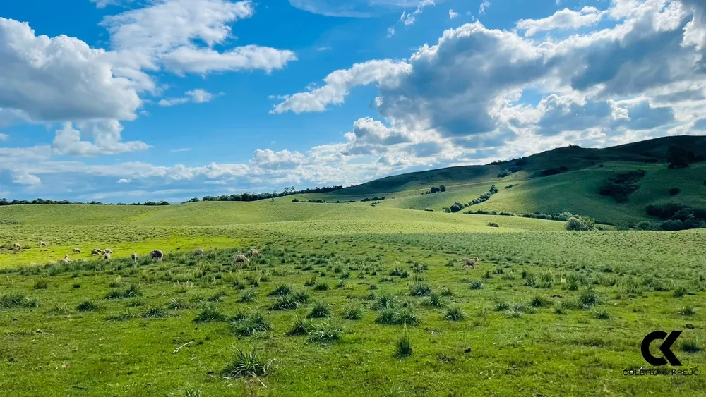 Fazenda, 520 hectares - Foto 3